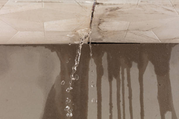 Professional Flood Damage Cleanup technician working in Larchwood, IA